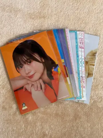 니부 아카리 브로마이드 묶음 판매