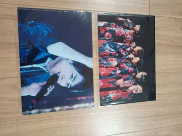 Record of Memories A5 클리어 파일 2장 세트 아라시