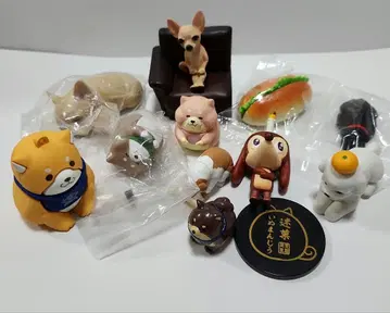 강아지 가챠 모음