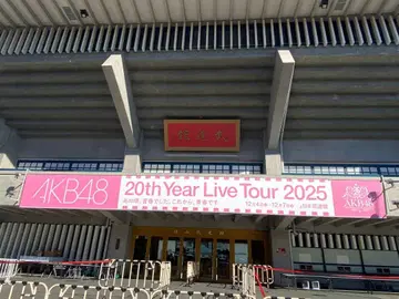 [12월 4일 일본 무도관 20th] AKB48 복권 스티커 3장 세트