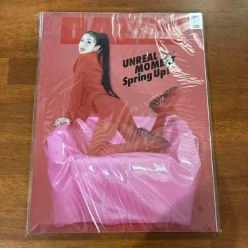 한국 한정판 DAZED KORIA 채영 twice 잡지