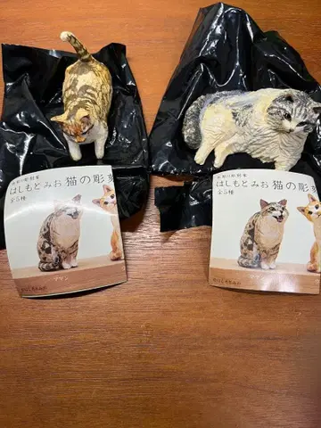 하시모토 미오 고양이 조각 2 치미짱 모이군 가챠가챠