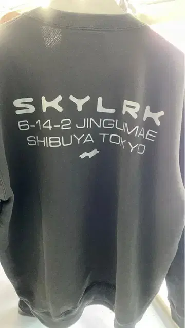 L 사이즈 SKYLRK 스카이 팝업 크루넥