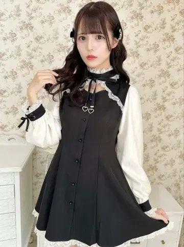 ROJITA 스탠드 칼라 시어 슬리브 원피스