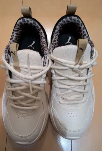 PUMA SOFTFOAM 플라울