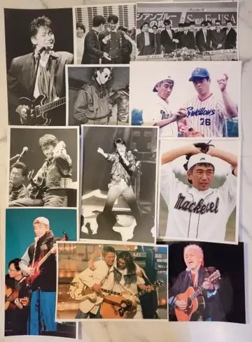 안전지대 & 타마키 코지 사진 세트