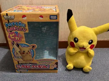 레어 타카라토미 이쪽 봐 빙글 피카츄