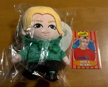 이가리 소야 하피누이 프로카 2종 세트