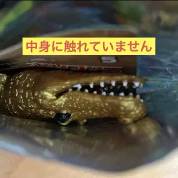 Crocodiles & Co. 피규어 금 레어