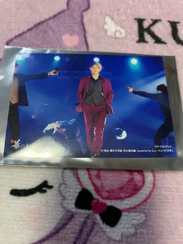 휴먼버그 대학 버그스테 키도