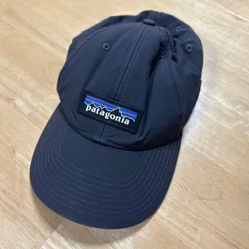 patagonia 그레이 캡