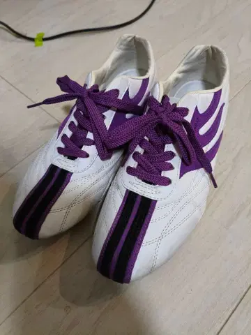 드래곤 비어드 신발 보라색