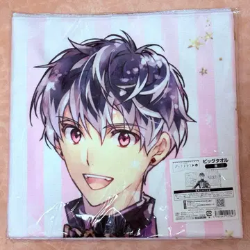 아이나나 EXPO 빅 타월 Re:vale 모모
