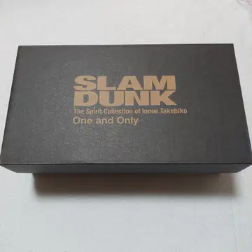 SLAM DUNK 슬램덩크 송태섭(미야기 료타) 피규어