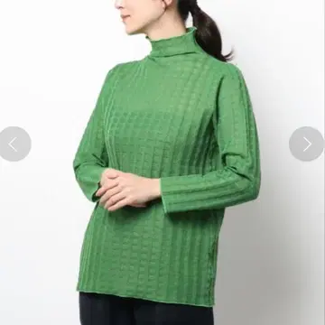 PLAID SHEER TURTLE KNIT 하이넥 터틀넥