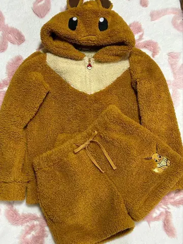 aimerfeel 에메필 포켓몬 이브이 모코모코 셋업