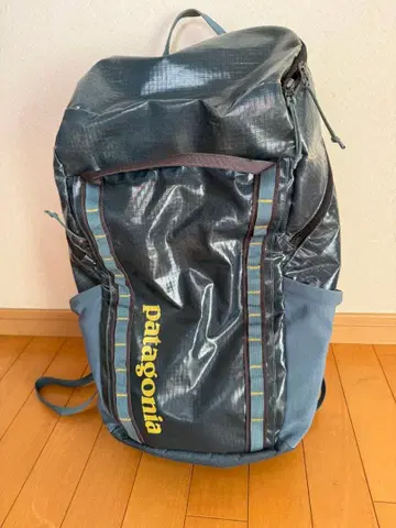 patagonia 블루 백팩 25L