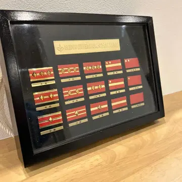 기동전사 건담 지구연방군 계급장 세트