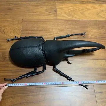장수풍뎅이 피규어 약 55cm 블랙
