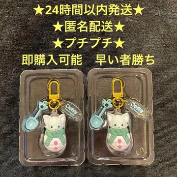 시크릿 오브 스노우위데이 젤라토니 키체인 디즈니씨