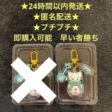 시크릿 오브 스노우위데이 젤라토니 키체인 디즈니씨