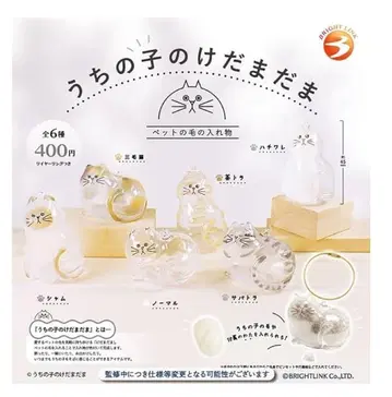 우리 집 털뭉치 서벌 샴