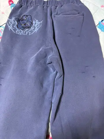 갈피 소메소메 완찬 팬츠 대형견