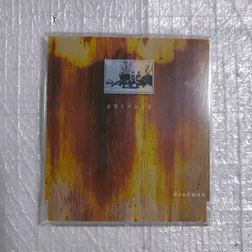 deadman 데드맨 비 내리는 해바라기