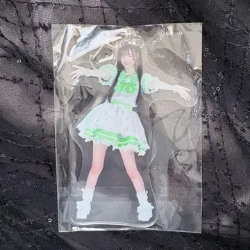 와카바노아 아크릴 키링