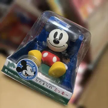 햇살 가득한 미키