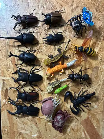 생물대도감 세트 판매