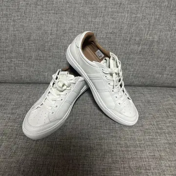 Lacoste 화이트 스니커즈