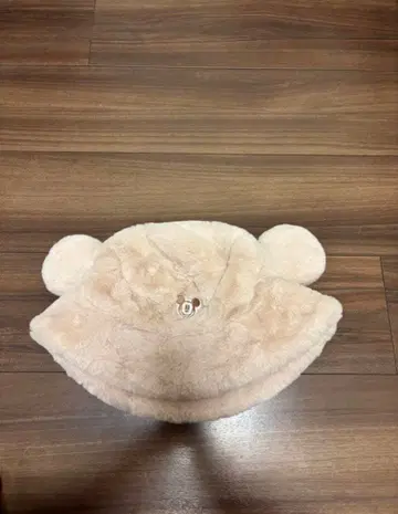 디즈니 겨울용 모자