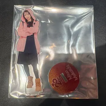무카이치 미온 AKB48 SPECIAL 복권 아크릴 스탠드 쥐 의상