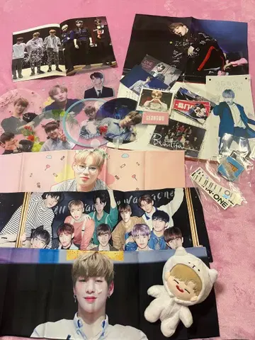 Wanna One 마스터 굿즈 묶음 판매