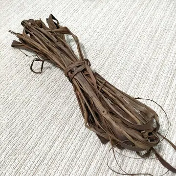 일본산 야생 포도 덩굴