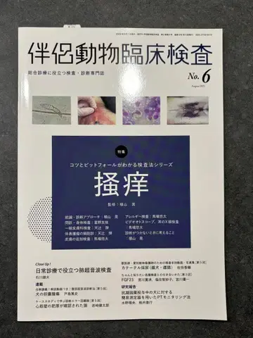 반려동물 임상검사 NO.6 소양증