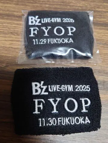B'z LIVE-GYM 2025 FYOP 후쿠오카 2일간 라이브