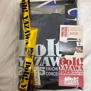 Do It! YAZAWA 2025 콘서트 투어 세트