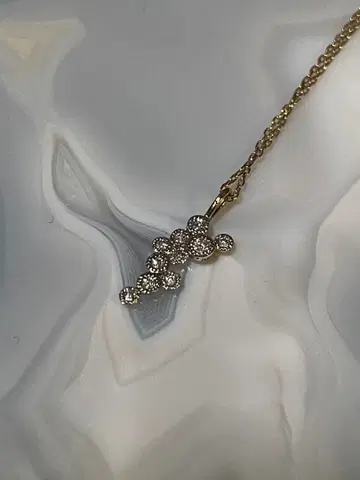 siena rose 별자리 목걸이