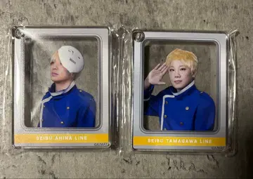 철 라이 코롯타 세이부 안비나선, 타마가와선