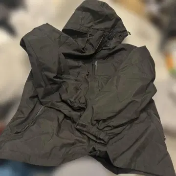 블랙 마운틴 후드티