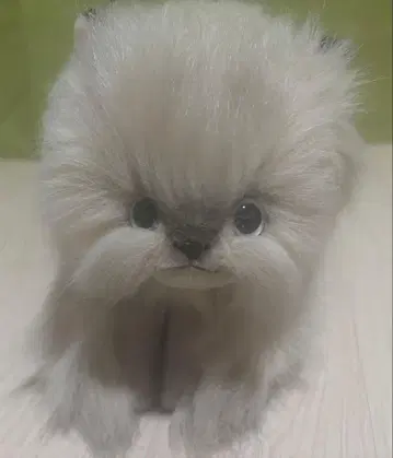 리베 고양이 봉제 인형 레트로 베이지 높이 17cm