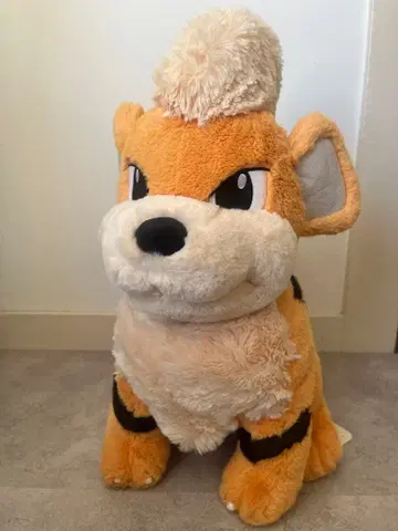 포켓몬 센터 앉은 봉제 인형 꼬부기 포켓몬 센터