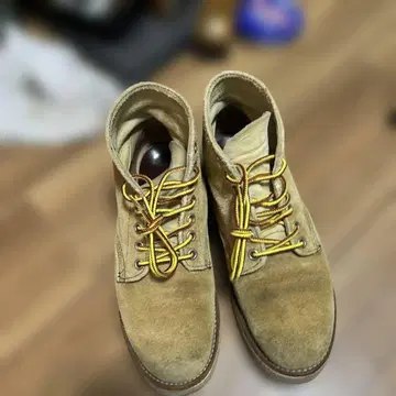 레드윙 워크 부츠 5.5 베이지