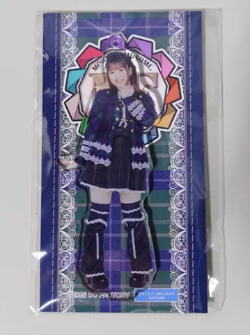 요코야마 레이나 솔로 아크릴 스탠드 키링 '25 콘서트 투어 가을