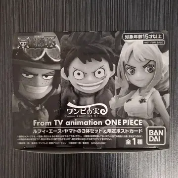 원피스 피규어 루피, 에이스, 야마토 3체 세트 & 한정판 엽서