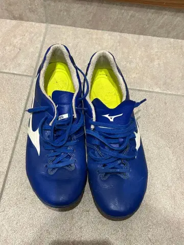 Mizuno 모나르시다 네오