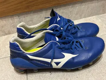 미즈노 모나르시다 네오