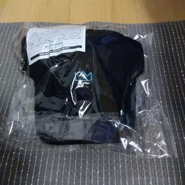 Stray Kids World Tour dominATE JAPAN 캡